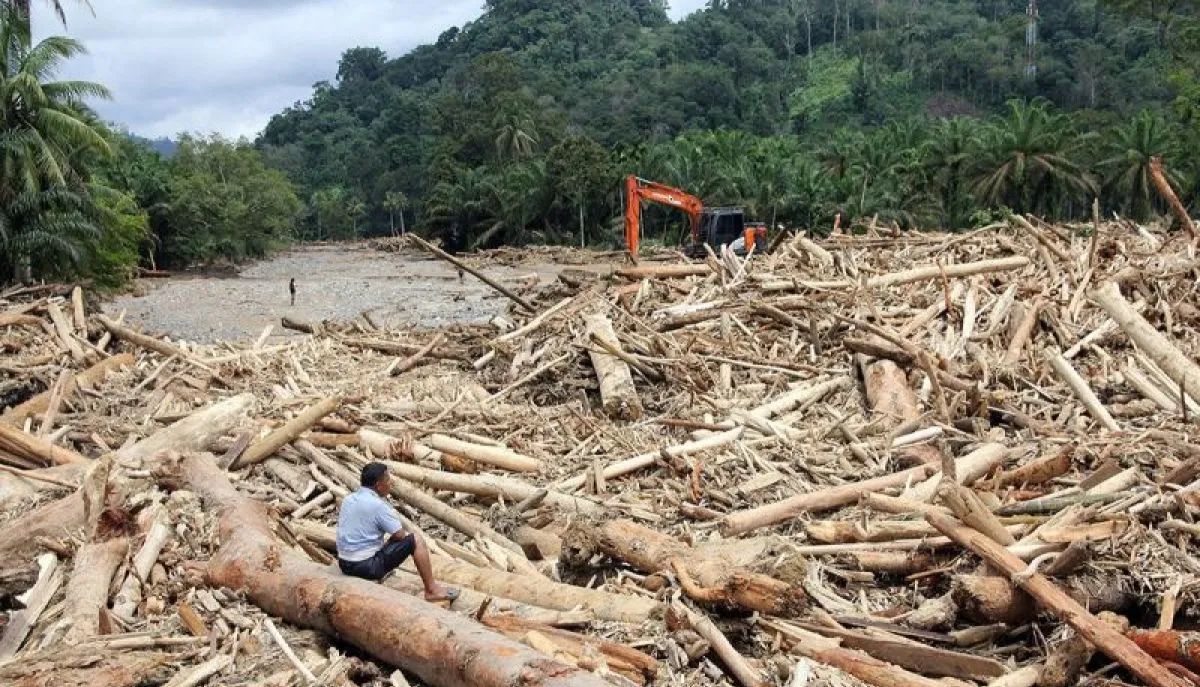 Bareskrim Polri Buka Penyelidikan Pembalakan Liar di Sumater