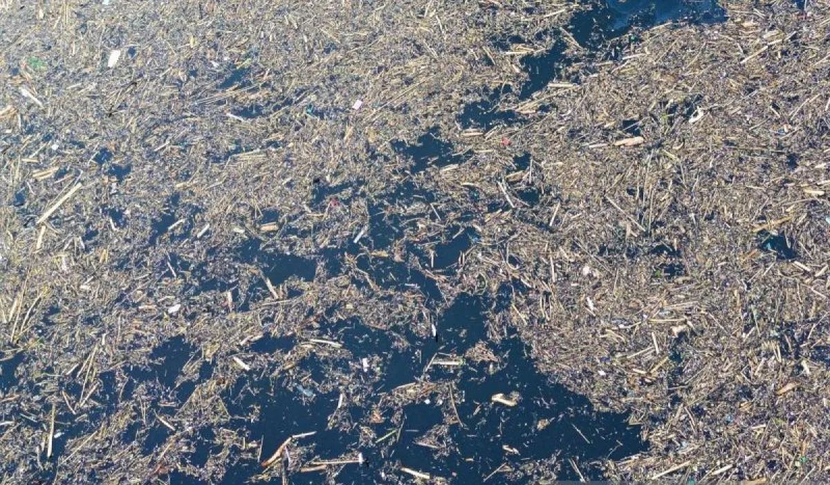 Dittipidter Bareskrim Polri Mulai Cek Sumber Kayu Gelondongan di Sumatera