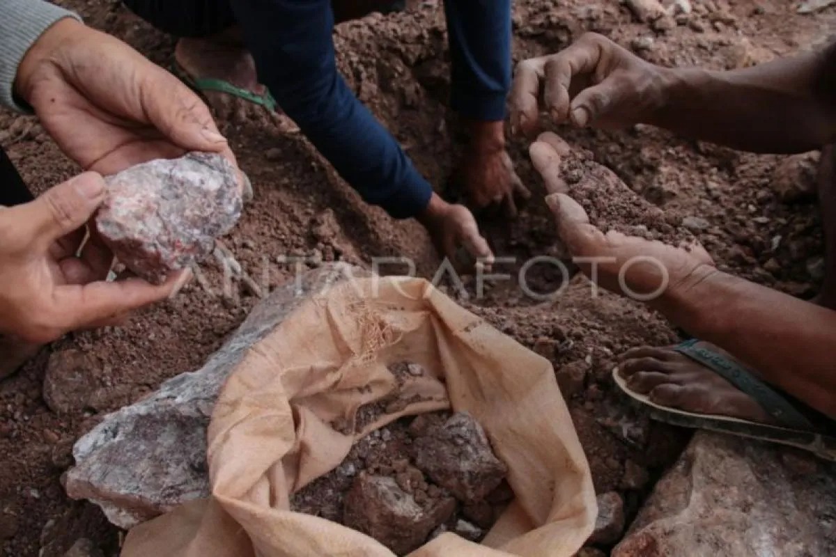 Polda NTB Bongkar Peran WNA dalam Kasus Tambang Emas Ilegal di Perbukitan Sekotong