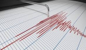 Gempa Bumi Bermagnitudo 4.4 Guncang Kabupaten Jayapura, Papua