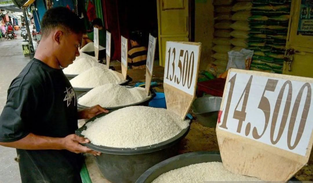 Pemerintah Pastikan Stok Beras Aman, Serapan CBP Awal 2026 Alami Meningkat