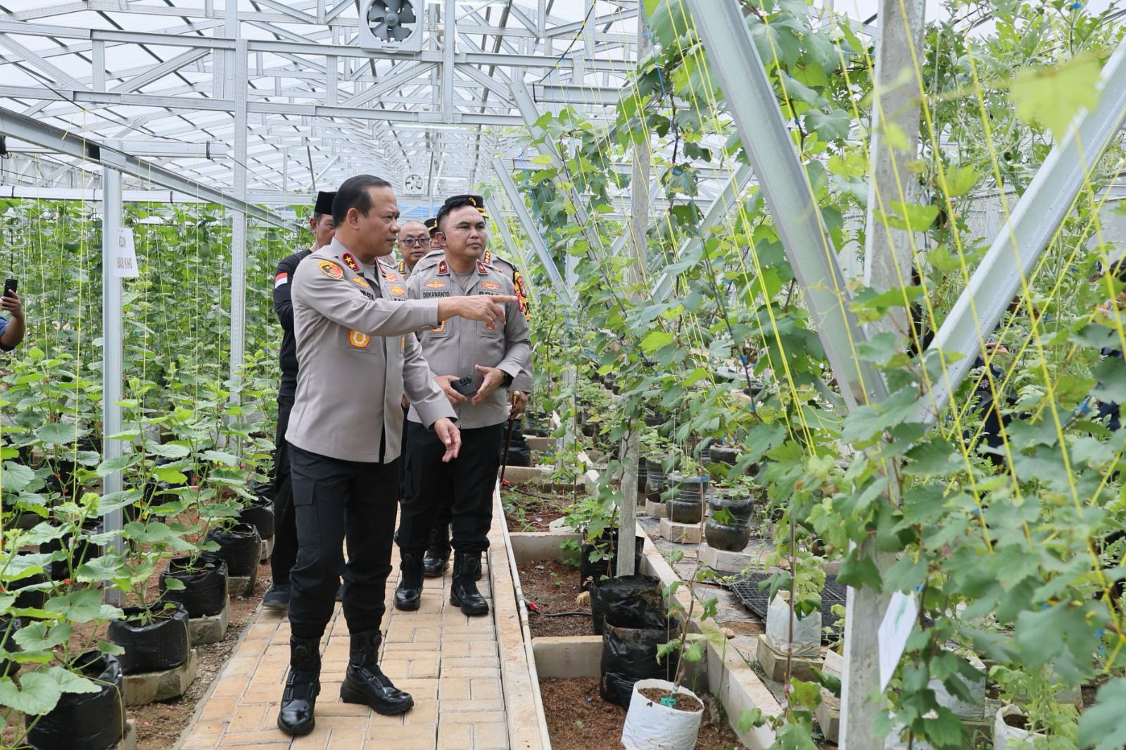 Tinjau Green House Perumahan Bekasi, Kapolda Dukung Program Pangan Mandiri