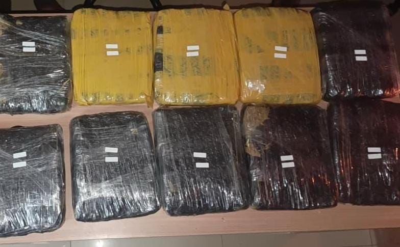 Polda Metro Jaya Gagalkan Peredaran Ganja, Sita Barbuk 5,5 Kg